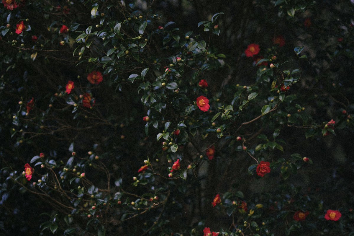 o1u5_'s tweet photo. Just dropped. Olu5’s wallpapers #1 
#NFTCommunity #hicetnunc #tezos #tezosnft #nftphotography #teia #tezosart https://t.co/qGcok0Irii https://t.co/a9dJTU97si