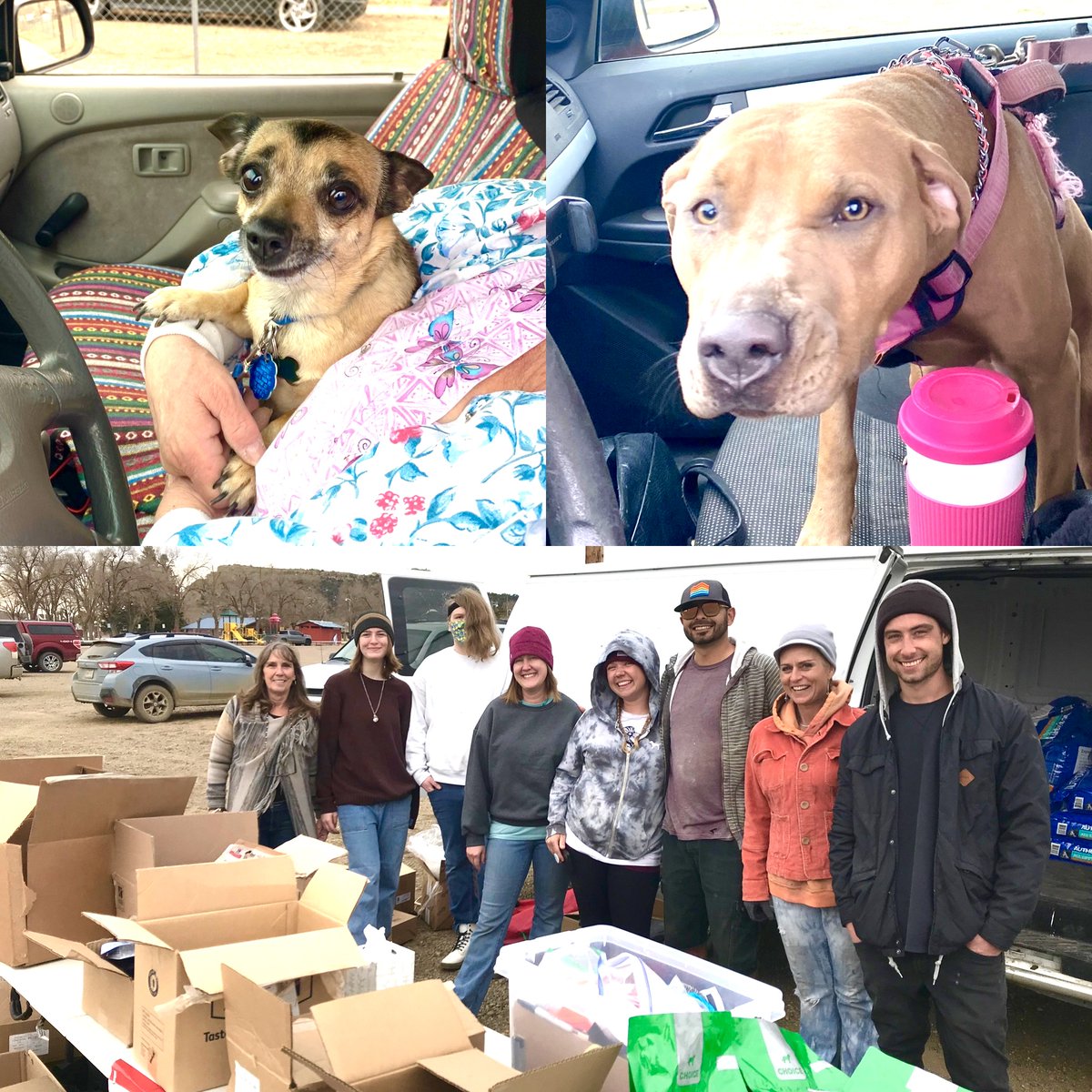 COpetpantry's tweet image. Our BIGGEST pet food bank - Trinidad! Thank you to all who helped us distribute an incredible amount of food. We distributed over 5,000lbs of pet food to 160 families and their 495 pets! Our volunteers are the BEST.
@NoahsArkAWA @CareandShareFB