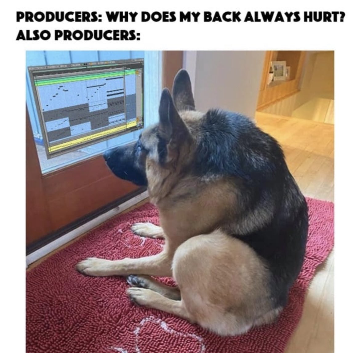 If we’re gonna sit in our chair and make music all day, we gotta start working on our posture🤣