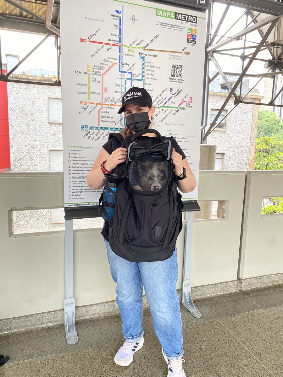 marilynelliset's tweet photo. @metrodemedellin Gracias @metrodemedellin pude hacer mi primer viaje en metro https://t.co/GqQnPEowN7