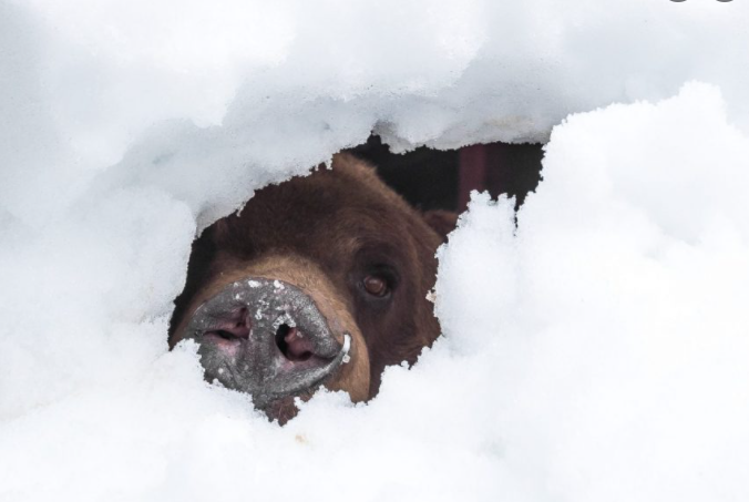 Sunshine. Spring coming. Time to disable dark mode in Windows, leave the den.