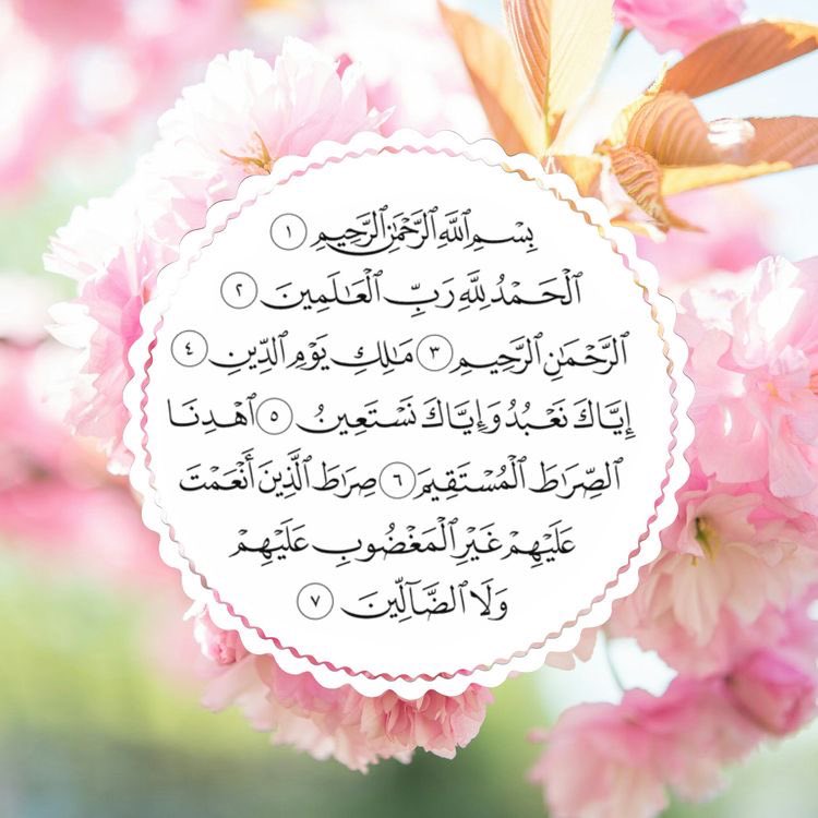 ٱلسًيّدُۂ ♥️✨ tweet media