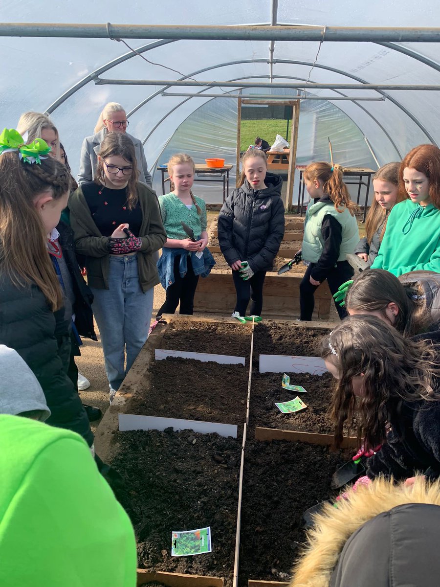 SJBC Science dept tweet media