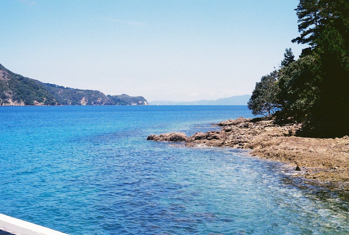 some shots from Great Barrier island a few years back #35mm #nftphotography #NFTCommmunity