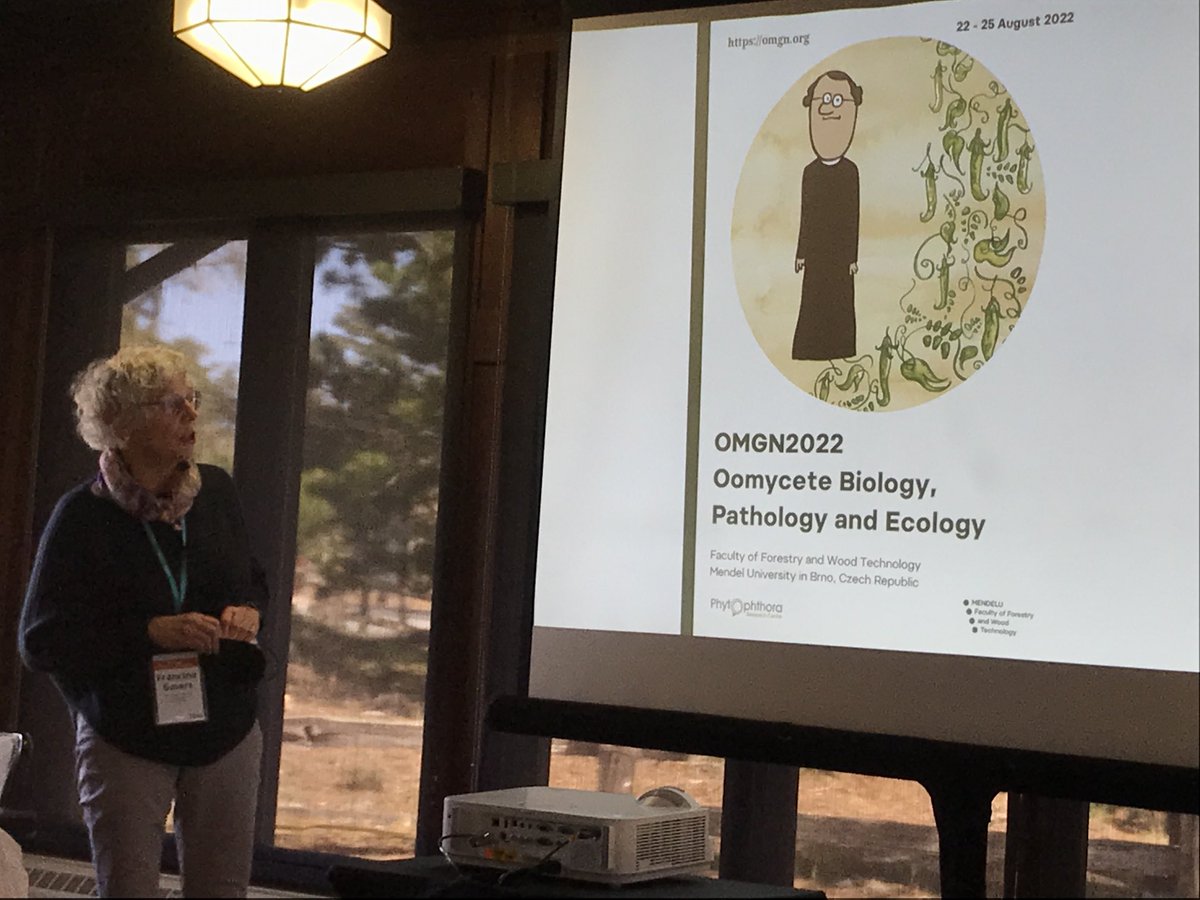 dromius's tweet photo. Good news everyone - there will be an oomycete meeting in 2022 - hood the dates everyone - 22-25 August in Gregor Mendel’s hometown Brno non-
#Fungal22 #FGC22 https://t.co/Es7xt55v2B