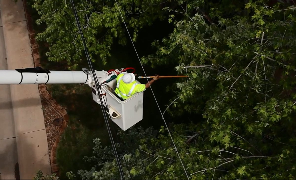 trees, trim, prune, vegetation management