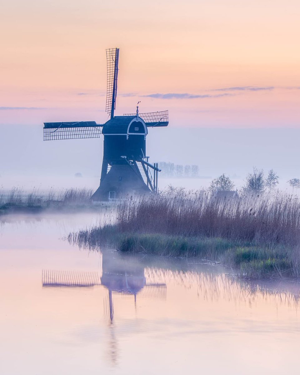 Mooie donderdag. Liefs, #TeamPositief 

📸 Wendy Nooijen #Goedemorgen