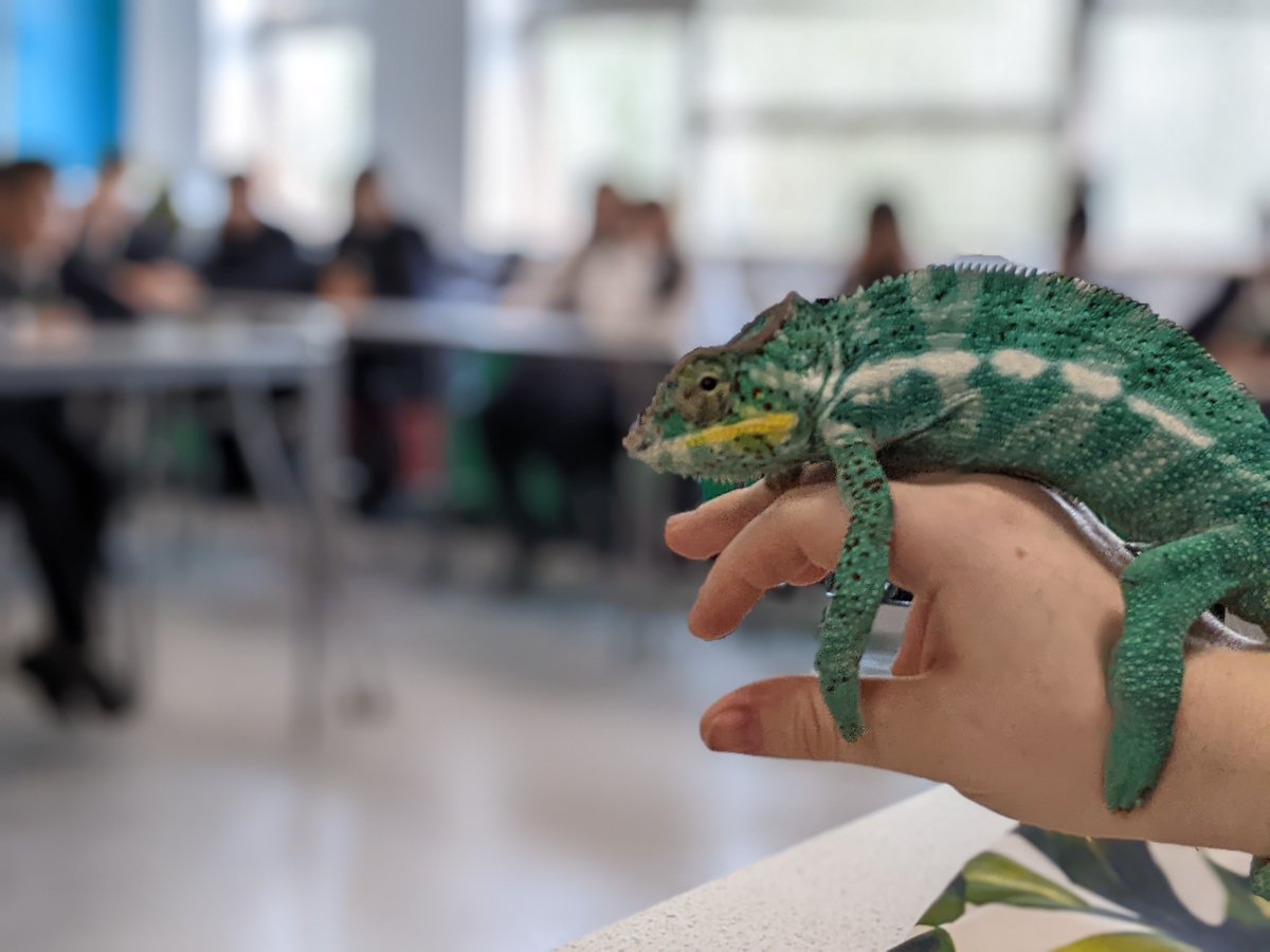 Being a teacher can often be an unpredictable rollercoaster of highs and lows, but one thing is certain: it is never boring! 🦎🐍😍
<a href="/McrAcademy/">Manchester Academy</a> #BritishScienceWeek