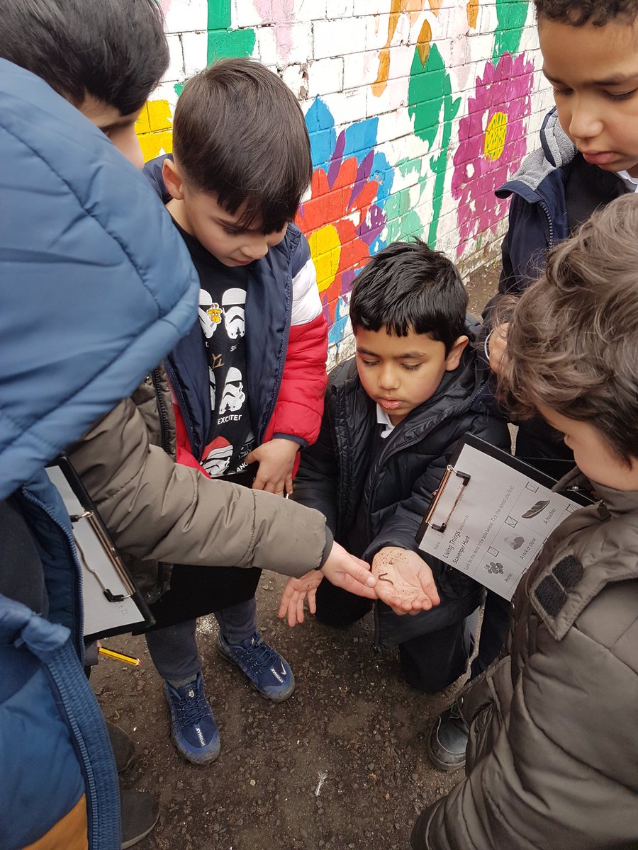 P3LorneStreet's tweet image. We went on a scavenger hunt in the playground as part of our lesson on living things for #gsclearninglab 🐞🐜🌱🍂 @gsc1 @LorneStreetPS
