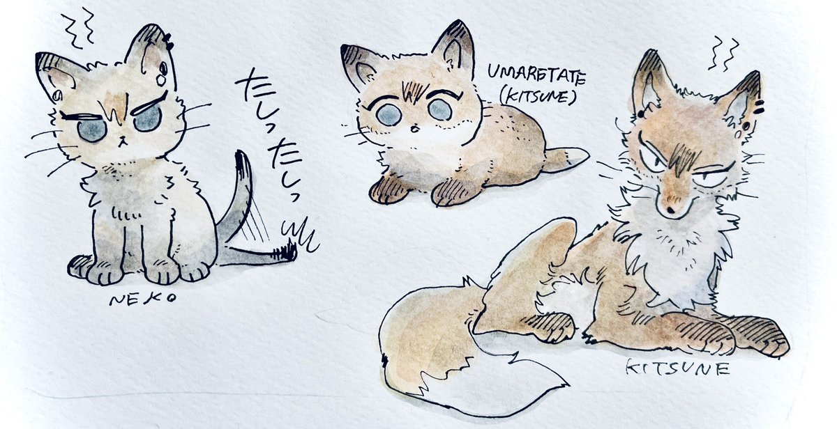 さまざまなナオヤ(獣化) 