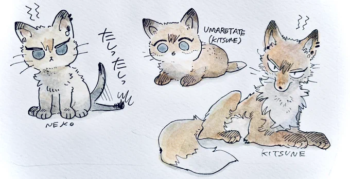 さまざまなナオヤ(獣化) 