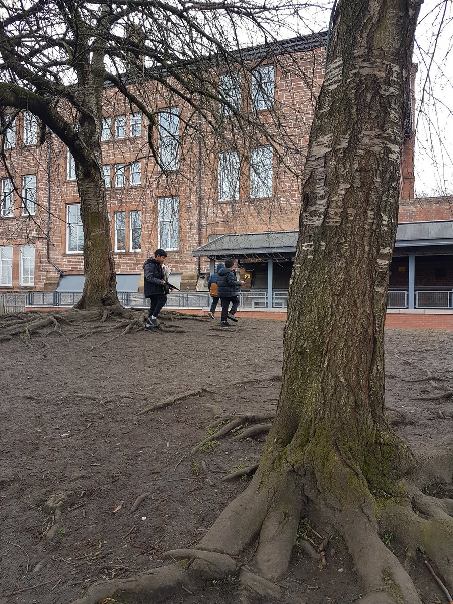 P3LorneStreet's tweet image. We went on a scavenger hunt in the playground as part of our lesson on living things for #gsclearninglab 🐞🐜🌱🍂 @gsc1 @LorneStreetPS
