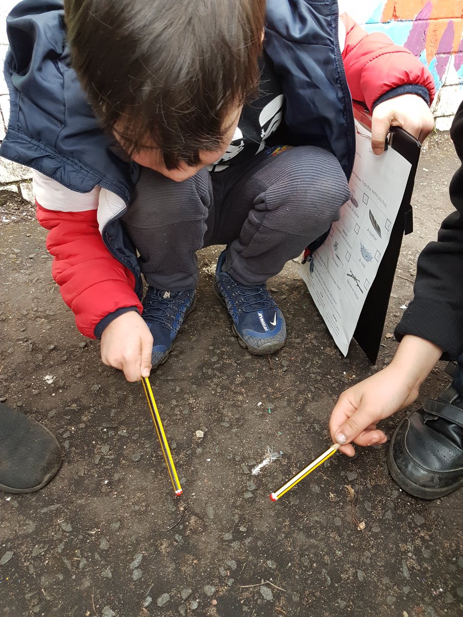 P3LorneStreet's tweet image. We went on a scavenger hunt in the playground as part of our lesson on living things for #gsclearninglab 🐞🐜🌱🍂 @gsc1 @LorneStreetPS