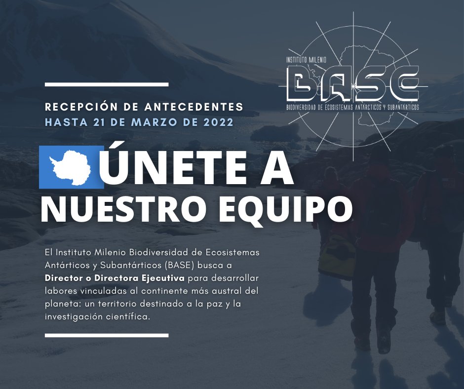 Instituto Milenio BASE (@mileniobase) on Twitter photo 🔵OPORTUNIDAD LABORAL | Continuamos la búsqueda de una persona que se pueda sumar a nuestro equipo desde la dirección ejecutiva...¿Nos recomiendas a alguien? ¡Etiqueta y comparte!
#CentrosAnid <a href="/min_ciencia/">Ministerio de Ciencia</a> <a href="/MMAChile/">Ministerio del Medio Ambiente</a> <a href="/Hay_Mujeres/">Hay Mujeres</a> <a href="/fenuchile/">FEN U. de Chile</a> <a href="/VID_UChile/">Investigación UChile</a> <a href="/InvestigacionUC/">Dirección de Investigación UC</a> #haypega 🔵OPORTUNIDAD LABORAL | Continuamos la búsqueda de una persona que se pueda sumar a nuestro equipo desde la dirección ejecutiva...¿Nos recomiendas a alguien? ¡Etiqueta y comparte!
#CentrosAnid <a href="/min_ciencia/">Ministerio de Ciencia</a> <a href="/MMAChile/">Ministerio del Medio Ambiente</a> <a href="/Hay_Mujeres/">Hay Mujeres</a> <a href="/fenuchile/">FEN U. de Chile</a> <a href="/VID_UChile/">Investigación UChile</a> <a href="/InvestigacionUC/">Dirección de Investigación UC</a> #haypega