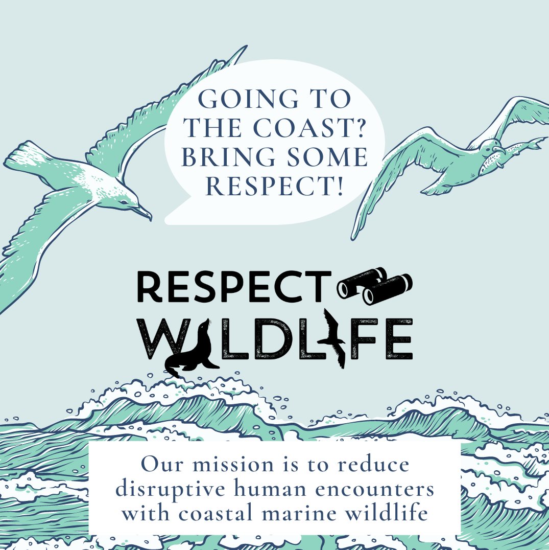 Respect Wildlife (@RespctWildlife) / Posts / X