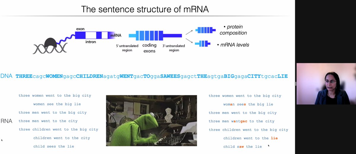 first talk in #vizbi2022 #rna session from <a href="/athmapai/">Athma Pai</a> - explaining mrna splicing and fidelity