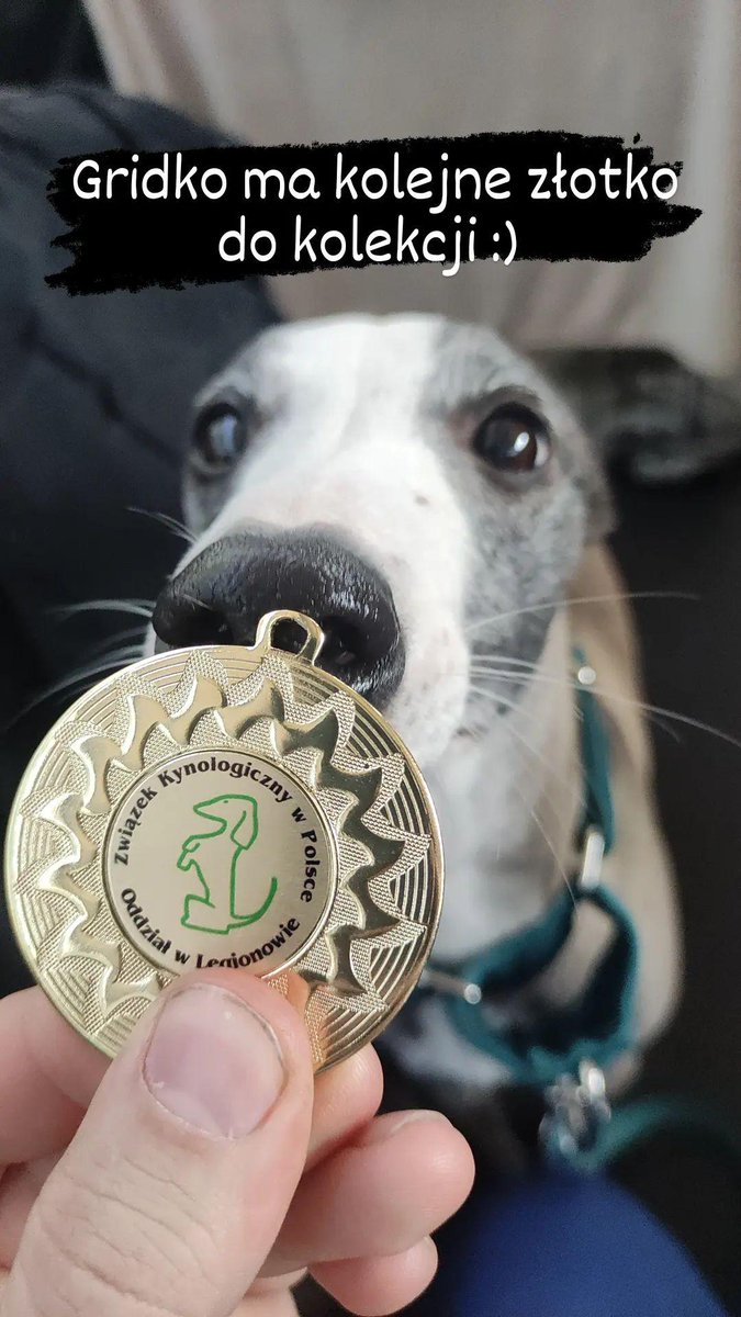 Thunder Team: Beryl i Grido tweet media