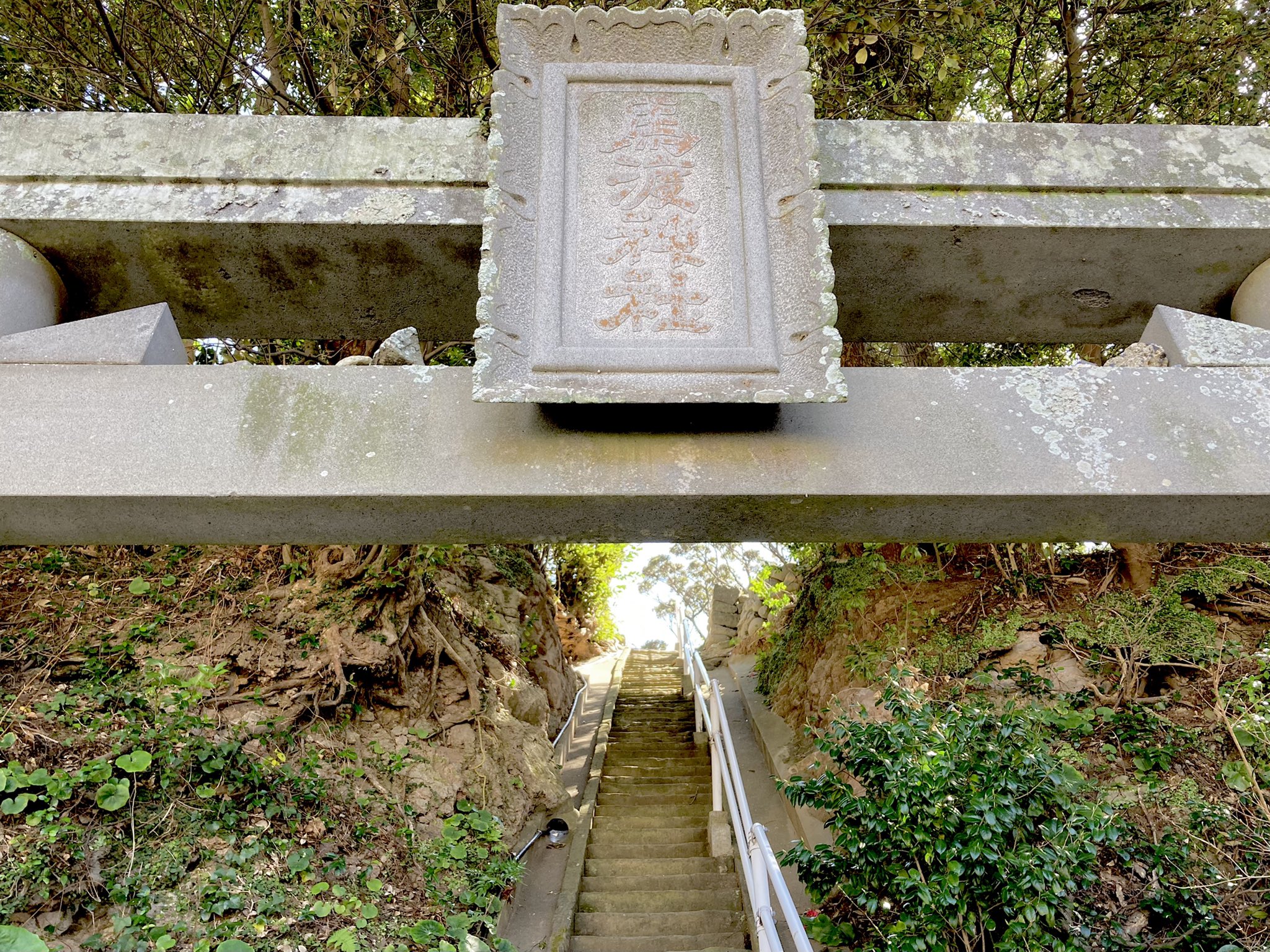 馬渡島 Twitter Search Twitter