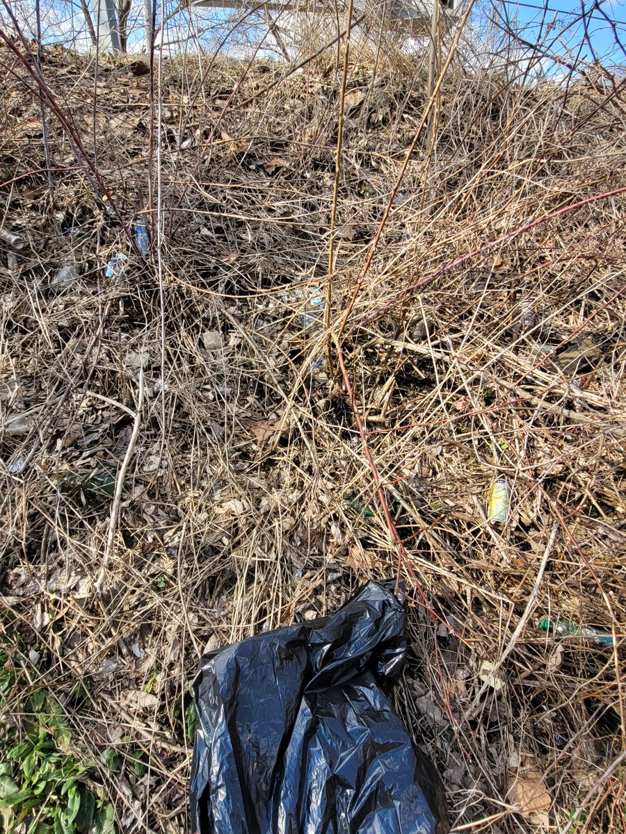 MemeForTrees's tweet photo. Cleaned up another 5 bags of liter today. https://t.co/DPkR72xlUz