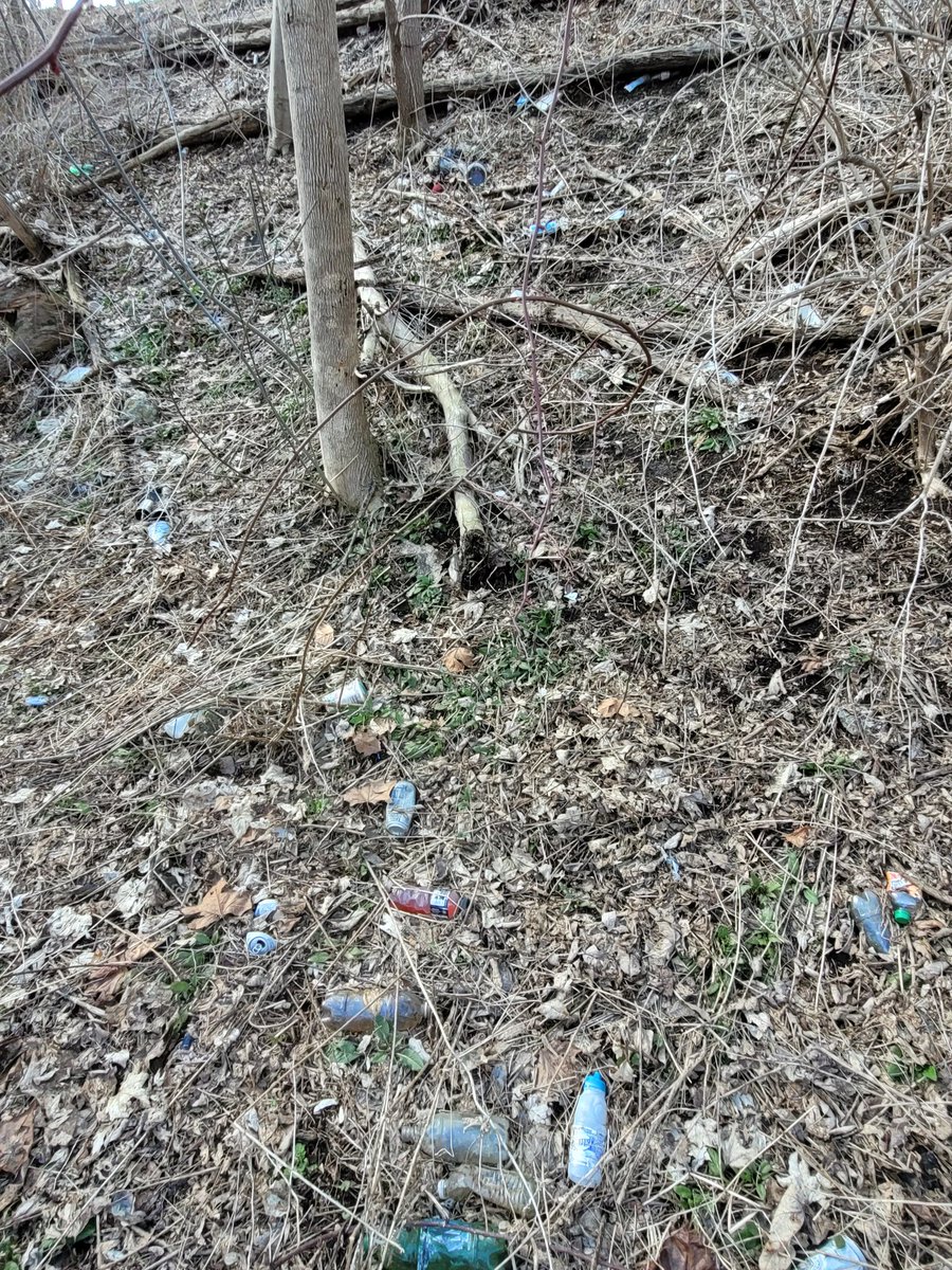 MemeForTrees's tweet photo. Cleaned up another 5 bags of liter today. https://t.co/DPkR72xlUz