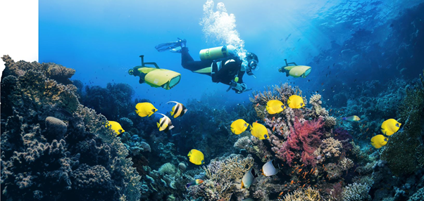 QUTRobotics's tweet photo. Did you know that @QUTRobotics does heaps of cool work in the marine and environment space?

Check out some  of our #research projects here in marine and environment - https://t.co/efQsGezjld

#marine #robotics #eco #environment #rangerbot #QCR #coral #greatbarrierreef https://t.co/SkawvCSk9G