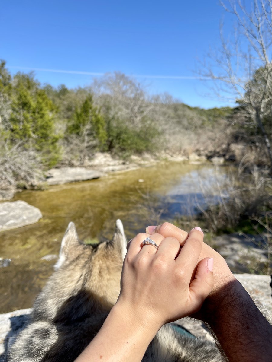 Max Gonzalez tweet media