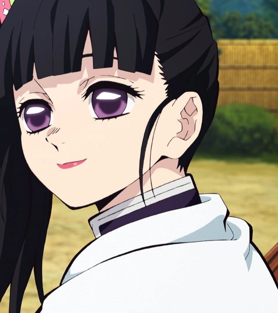 XiElAnimes's tweet photo. 🌺 𝑇𝑠𝑢𝑦𝑢𝑟𝑖 𝐾𝑎𝑛𝑎𝑜 🌺
                   栗花落 カナヲ https://t.co/f7Pe2dkc9J