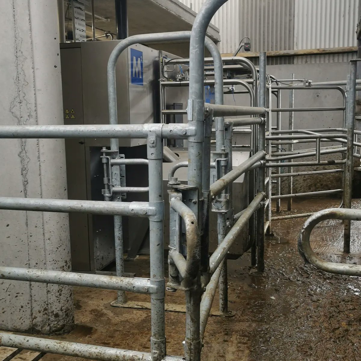 michaeldowney6's tweet photo. On another nice neat retrofit @FullwoodPackoIE Merlin farm. Loads of natural light in through the clear sheeted roof. Last bits finishing up to go out to grass on #abcgrazing . Neatly fitted job by Frank McDermott Milkingπ @FullwoodPackoGr #grasstomilk #roboticmilkingIreland https://t.co/XKLDz1FSYQ