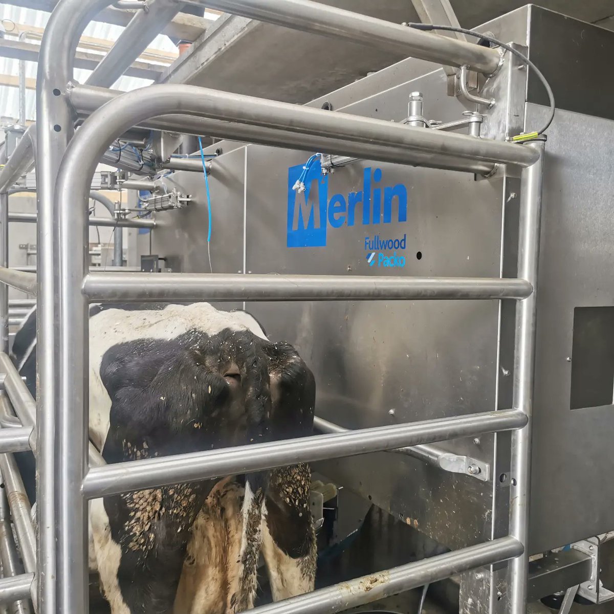 michaeldowney6's tweet photo. On another nice neat retrofit @FullwoodPackoIE Merlin farm. Loads of natural light in through the clear sheeted roof. Last bits finishing up to go out to grass on #abcgrazing . Neatly fitted job by Frank McDermott Milkingπ @FullwoodPackoGr #grasstomilk #roboticmilkingIreland https://t.co/XKLDz1FSYQ