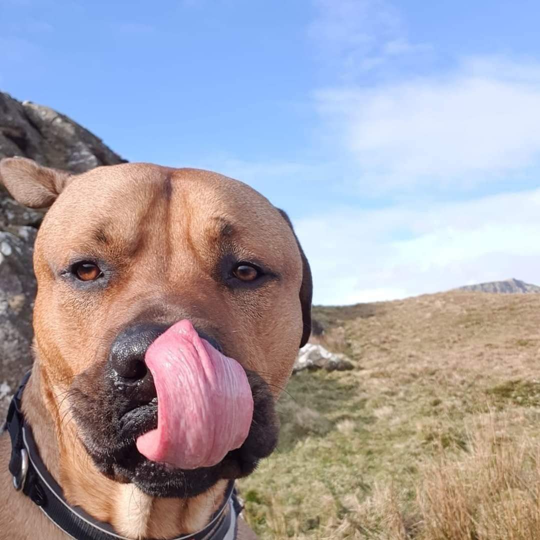 phil hatton tweet media