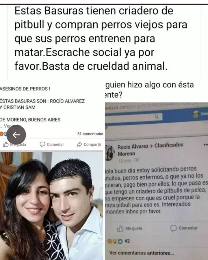 JMonicaVivass's tweet photo. Urgente denunciemos!! Estas porquerías matan animalitos. https://t.co/SrpctkqHRJ