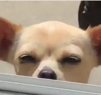 <a href="/razapatac/">Matoso🐊</a> <a href="/ivanfsilva01/">gengis kan</a> <a href="/ingridmorales06/">INGRID MORALES</a> <a href="/paredon_rosy2/">La incondicional</a> <a href="/R77684031Emilio/">Emilio Rodriguez</a> <a href="/franherr63/">Jav!Herr✝️🇻🇪 ⚽</a> <a href="/FannyGuilarte/">Athenea fta</a> <a href="/franjesus1/">Francisco Hernández🇺🇸🇻🇪</a> @lahijaderam <a href="/MireyaM97032871/">Mireya Mercado</a> <a href="/FranJ2303/">🇫 🇷 🇦 🇳 ®️</a> <a href="/YeziSeijas/">Yezi 🇻🇪♥️</a> <a href="/PsicJohanna/">🏛 Repúblico Johanna Montenegro</a> <a href="/mv_negra2/">Maryurie_ Negrita 🇻🇪 Venezuela Renacerá 💛💙</a> <a href="/Ma_Elisa_G/">#VzlaEntrampadaEntreLaDuplaMudPsuv🇻🇪🇻🇪</a> <a href="/NEBarrios/">Nicolás E. Barrios T. ™🇻🇪</a> Tú ni con piropos te portas bien 🫣