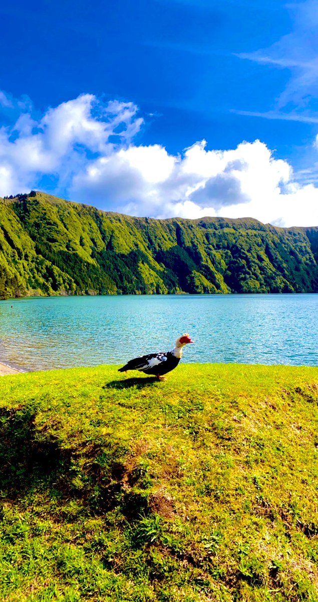 وكالة شاطيء الجواهر للسفر والسياحة tweet media