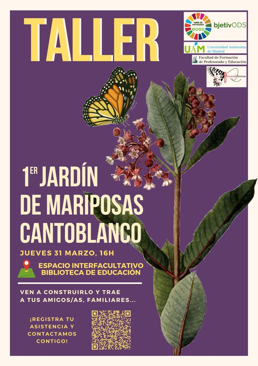 Rosa Gálvez tweet media