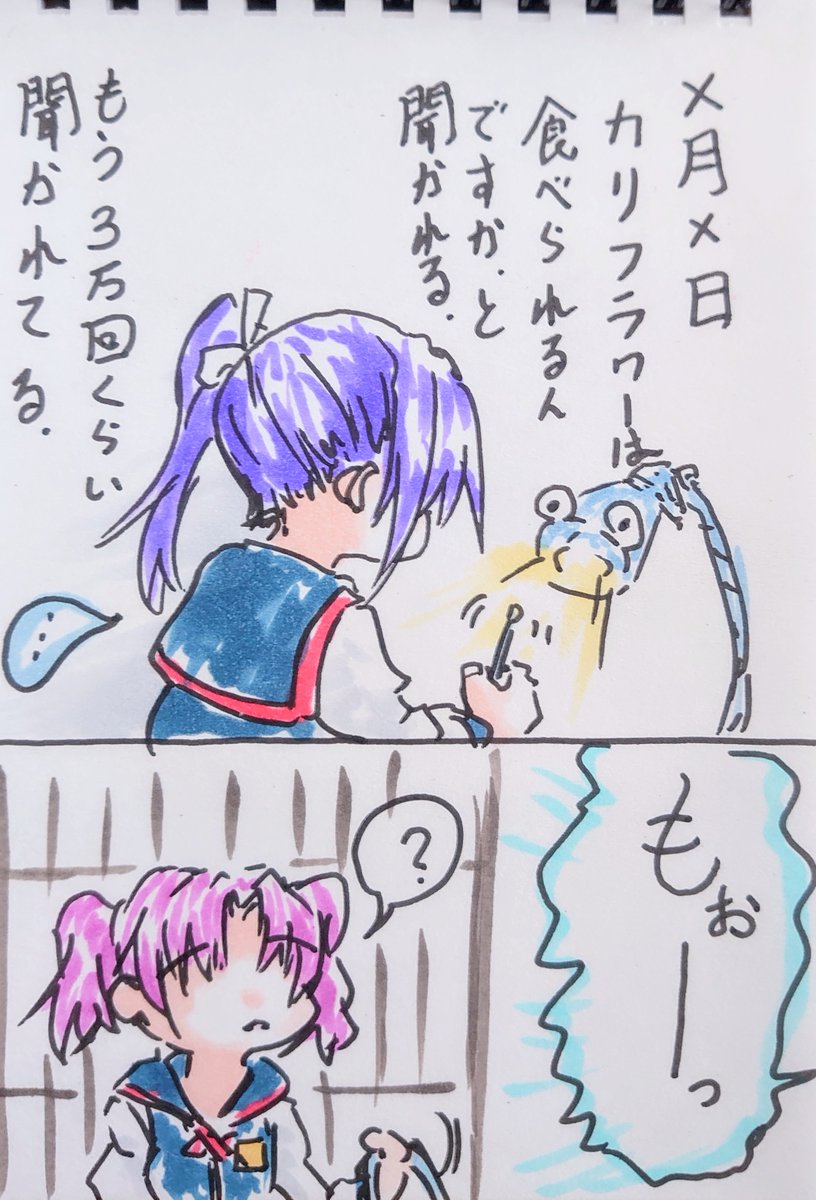 姉日記。 