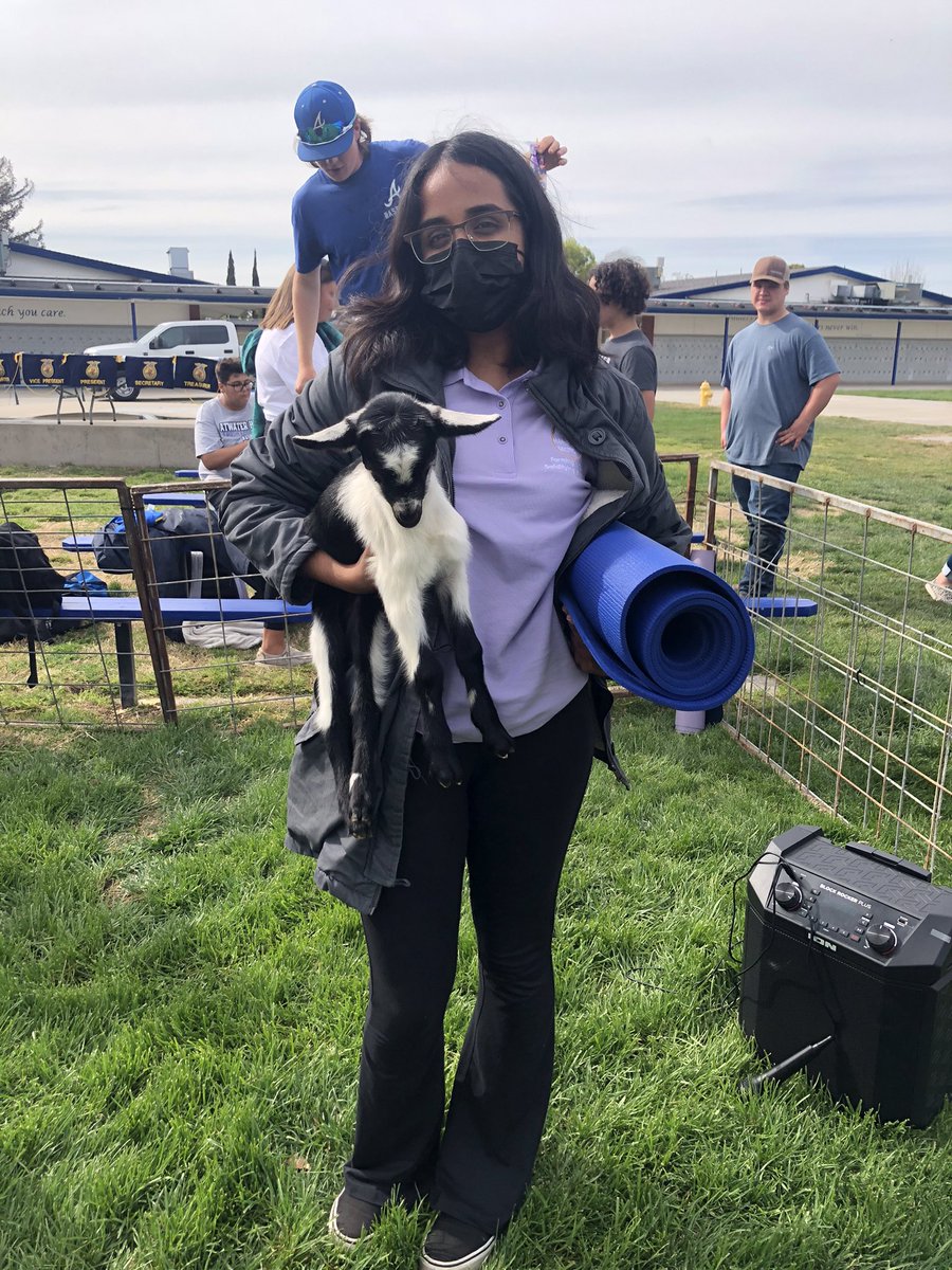 MercedMariposa's tweet photo. Yesterday, some of the Merced-Mariposa FFA Officers got to visit @AtwaterFFA and participate in their first ever goat yoga meeting! A huge thank you goes out to Atwater FFA and its officers for inviting us to their meeting and putting on such a fun event! https://t.co/LU9SKUF3BT