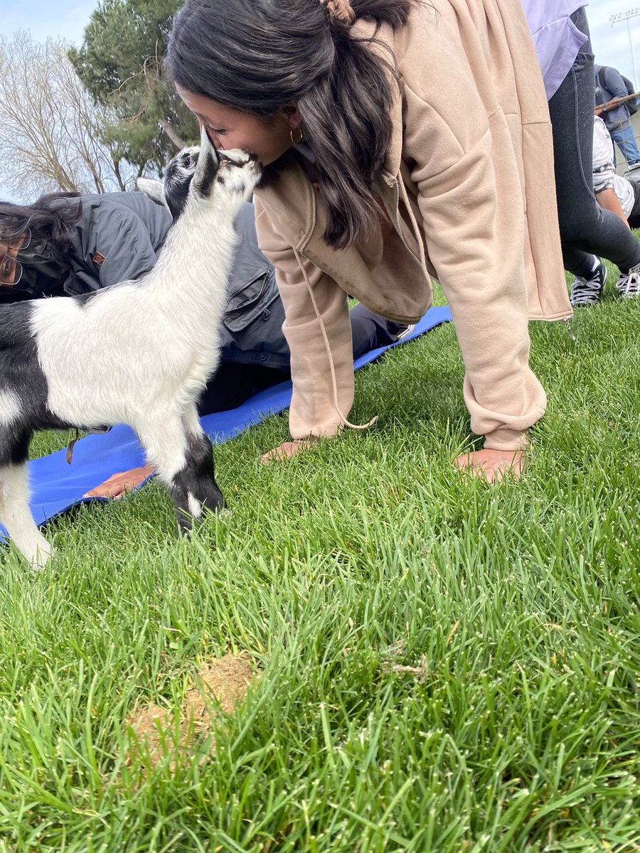 Here are some more pictures!