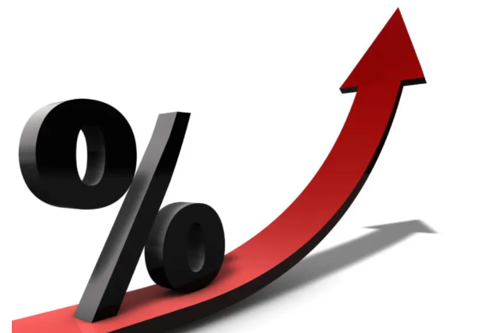 Breakdown: daily rates of 1.6% to 5.5%. But you don't care 💰💰💰