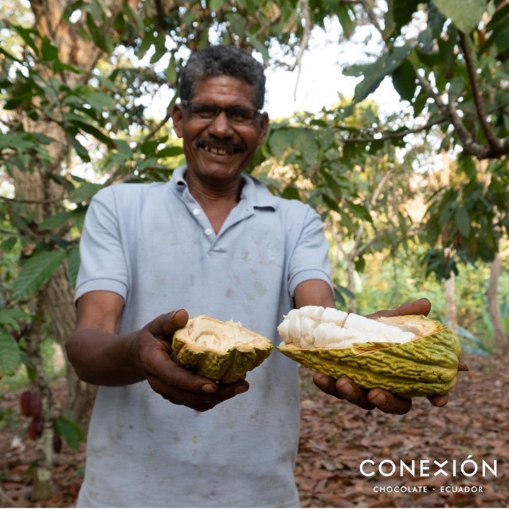 FCIA_org's tweet photo. Have you considered where couverture is produced in addition to who made it? Join FCIA for a webinar presented by Dale Erwin of @ConexionChoc Weds. 3/23: Positive Impact of Couverture Made at Origin
Register at https://t.co/1UlyM7CMuz.
#fcia #webinar #couverture #traceability https://t.co/3A6baZxWPo