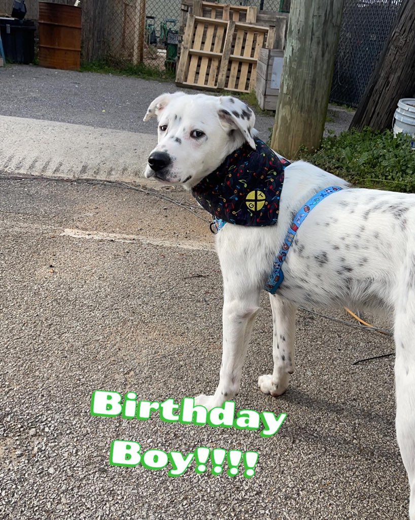 akdutton123's tweet photo. This handsome young man turned one this past weekend. https://t.co/0wlLfq2ju2