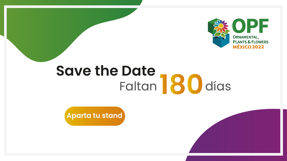 OPFexpo's tweet photo. ¡Estamos a 6 meses del arranque de la Feria Internacional especializada en horti-floricultura, paisajismo y diseño floral!

OPF Expo 2022 tendrá lugar del 13 al 15 de septiembre en el Centro Citibanamex de la Ciudad de México.

 https://t.co/CTStCP814a

#opfexpo2022 #SaveTheDate https://t.co/LVEgj75BSA
