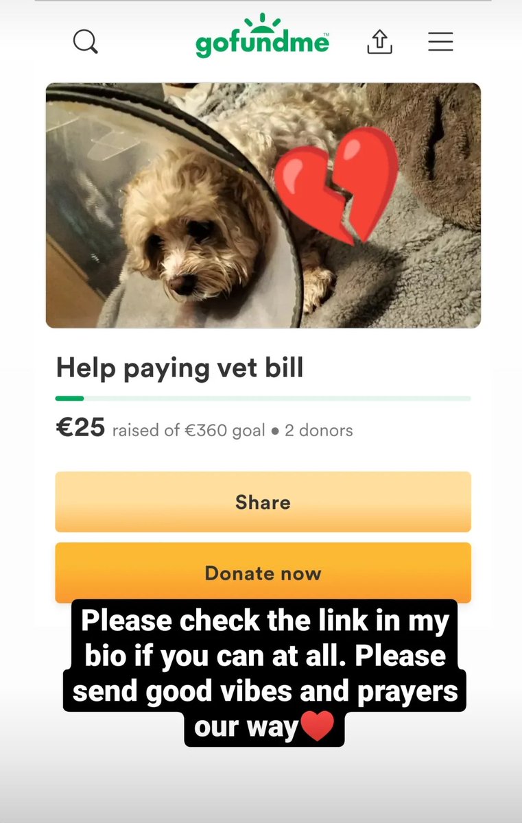 OxxBri's tweet photo. Please check the link in my bio if you can♥️♥️ #gofundme #AnimalsOfTwitter 
#donate https://t.co/eZDgTPcFCG