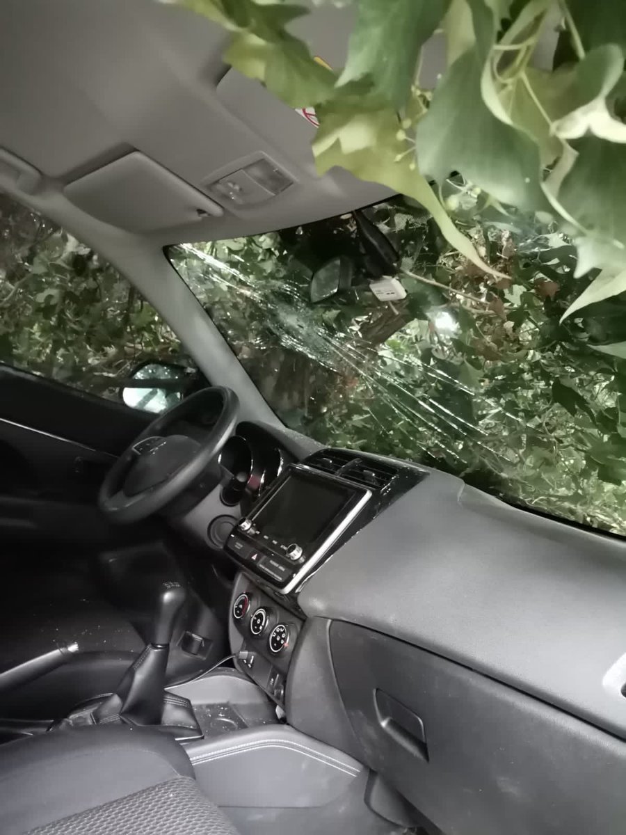 <a href="/MuniLaReina/">La Reina</a> hasta cuando tenemos q soportar la pésima mantención de los árboles en la comuna ? hasta q alguien muera ? <a href="/JMPalaciosParra/">José Manuel Palacios</a>