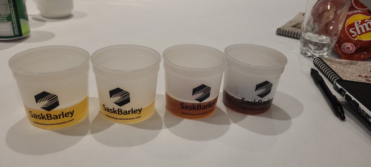 Charlotte Greenshields tweet media