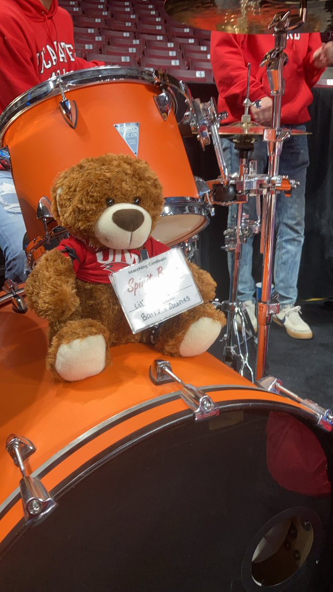 UIWBands's tweet photo. Game day wouldn’t be complete without our spirit bear #LilRitchie to help us cheer on our team! 

#GoCards #AllGasNoBrakes #SeeHerGreatness https://t.co/DnTluVkClQ
