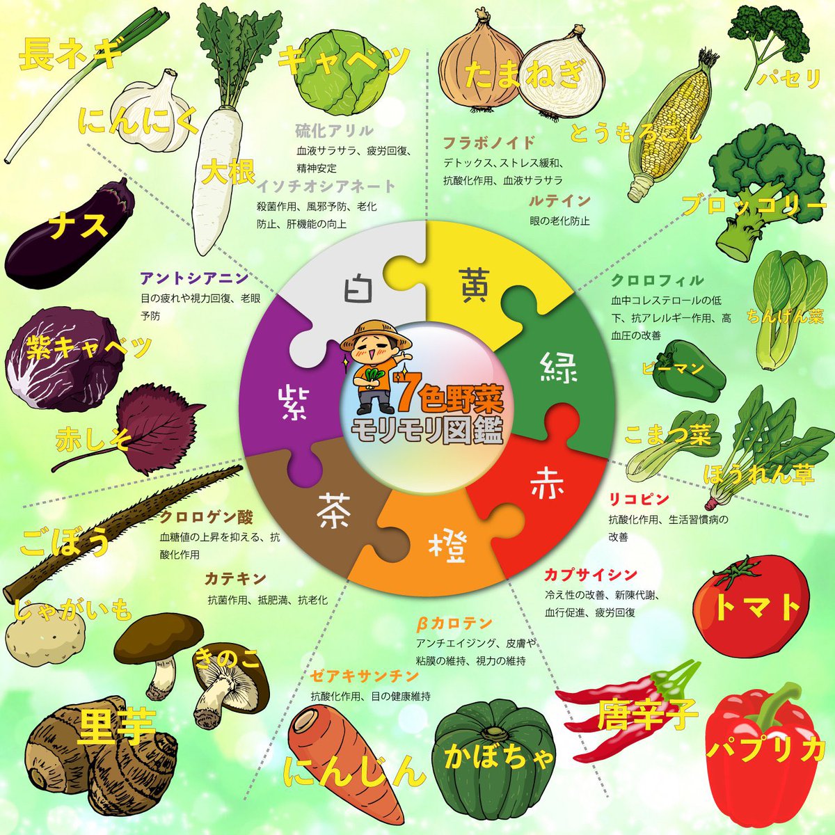 優しさが不足する前に!【農家からのお願い】意識すべき野菜の7色