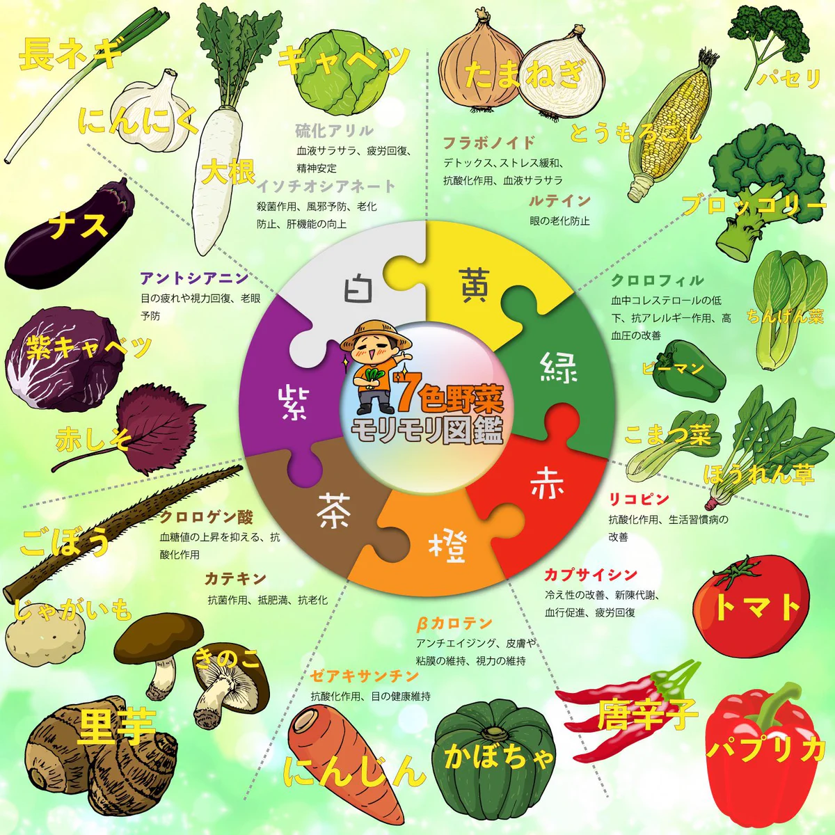 優しさが不足する前に！【農家からのお願い】意識すべき野菜の7色