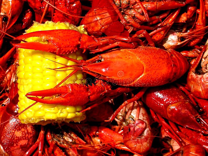 This Saturday is our annual crawfish boil! We’ll have live music all day starting with Rockin Rev at 2! And Sugar will start at 7pm. Come enjoy the beautiful weather and some delicious crawfish!