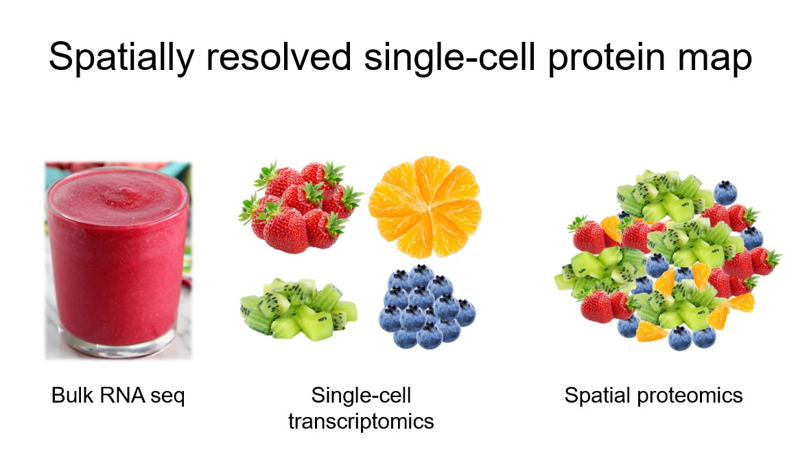 Feria Hikmet tweet media