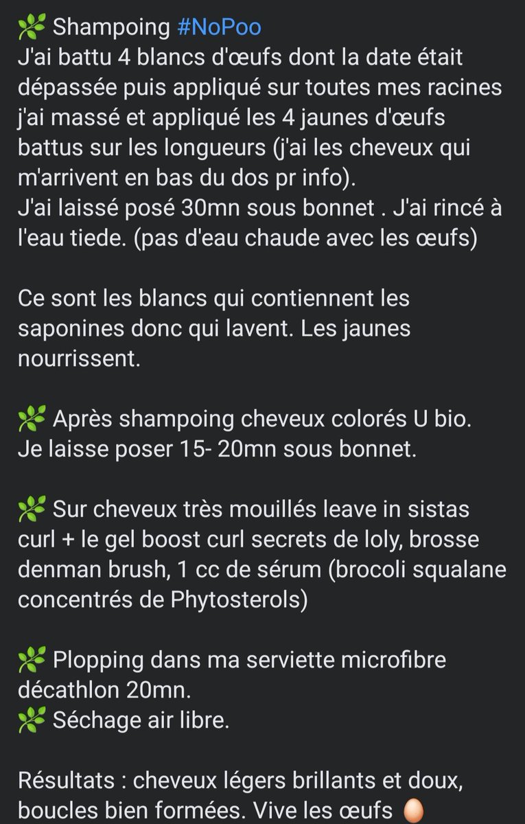 PtiteBouclettes's tweet image. #curlyroutine #NoPoo